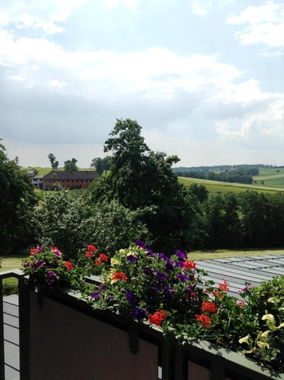 1A Landhotel Schicklberg 크렘스뮨스터 외부 사진
